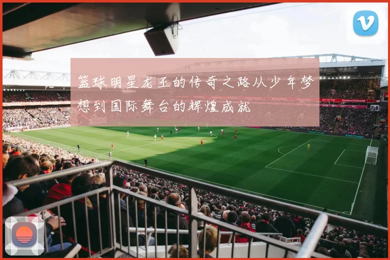 篮球明星龙王的传奇之路从少年梦想到国际舞台的辉煌成就