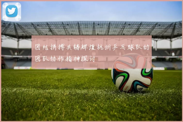 团结拼搏共铸辉煌杭州乒乓球队的团队协作精神探讨
