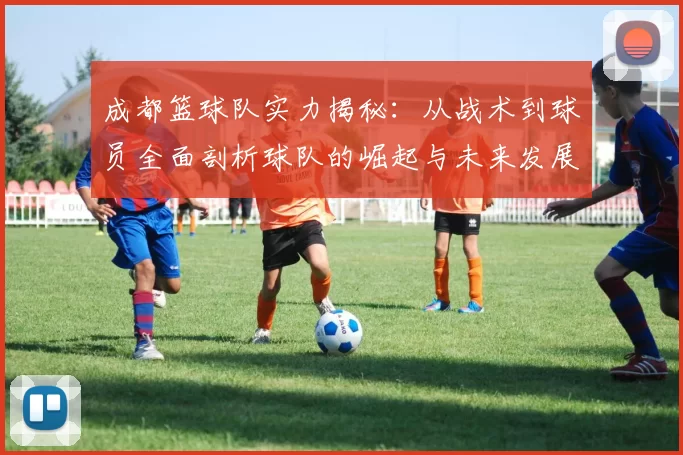 成都篮球队实力揭秘：从战术到球员全面剖析球队的崛起与未来发展MBA