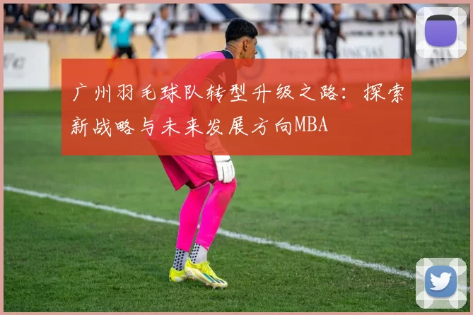 广州羽毛球队转型升级之路：探索新战略与未来发展方向MBA