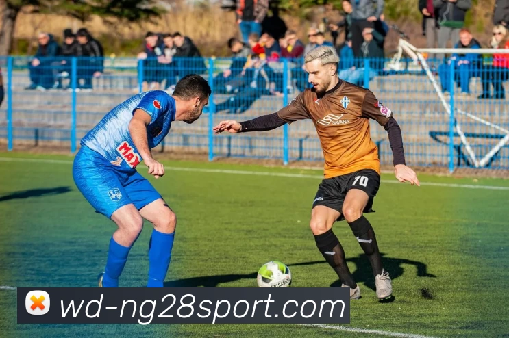 南宫28集团APP 封面图